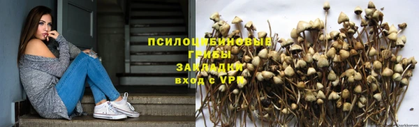 бошки Мегион