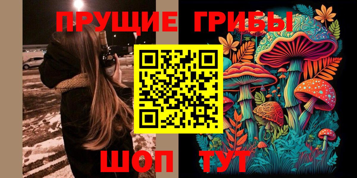 Галлюциногенные грибы Psilocybine cubensis Янаул
